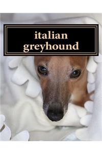 dog notebook
