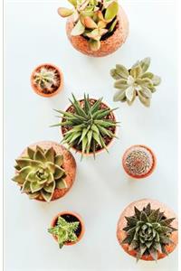 The Botanical Collection