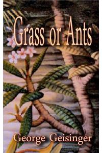 Grass or Ants