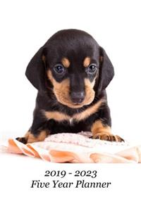 2019