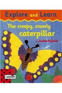 Creepy Crawley Caterpillar