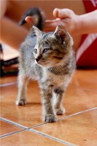 Holding the Cute Kitty's Tail Journal