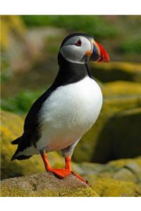Puffin Notebook