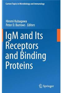 Igm and Its Receptors and Binding Proteins