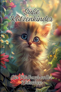 Süße Katzenkinder