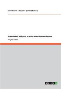 Praktisches Beispiel aus der Familienmediation