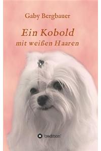 Ein Kobold Mit Weissen Haaren