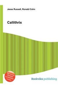 Callithrix