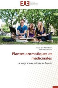 Plantes Aromatiques Et Médicinales