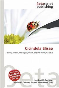 Cicindela Elisae