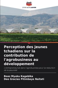 Perception des jeunes tchadiens sur la contribution de l'agrobusiness au développement
