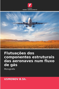 Flutuações dos componentes estruturais das aeronaves num fluxo de gás