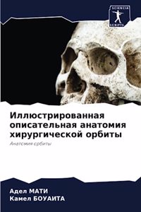 Иллюстрированная описательная анатомия &