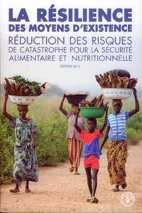 La resilience des moyens d'existence