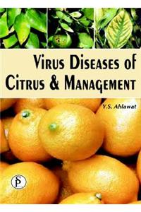 Virus Diseases of Citrus & Management