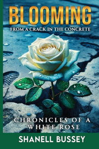 Blooming From A Crack In The Concrete