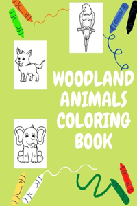 Woodland Animals Coloring Book