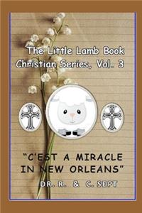 Little Lamb Christian Book Series