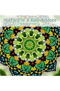 Nature in a Kaleidoscope