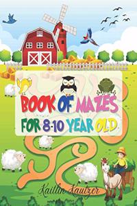 Book Of Mazes For 8-10 Year Old