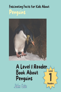 Fascinating Facts for Kids About Penguins