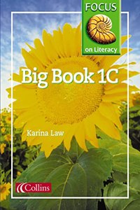Big Book 1C: Lively texts and vibrant illustrations support shared reading and writing: Book 3 (Focus on Literacy)