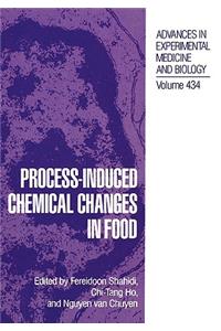 Process-Induced Chemical Changes in Food