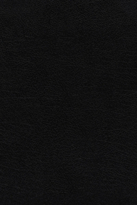 KJV, Thompson Chain-Reference Bible, European Bonded Leather, Black, Red Letter, Thumb Indexed, Comfort Print