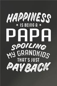 Happiness Is Being A Papa Spoiling My Grandkids That's Just Payback