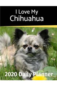 I Love My Chihuahua