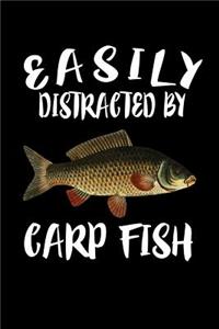 Easily Distracted By Carp Fish