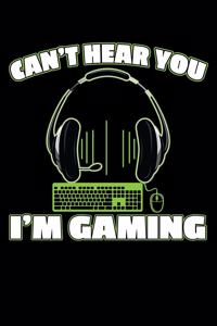 Can't Hear You I'm Gaming
