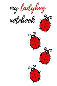 My Ladybug Notebook