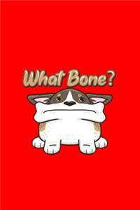 What Bone?