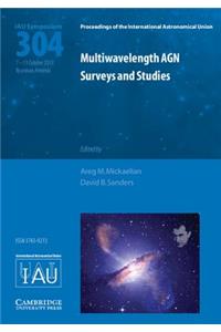 Multiwavelength Agn Surveys and Studies (Iau S304)