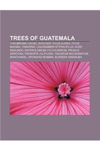 Trees of Guatemala: Theobroma Cacao, Avocado, Ficus Aurea, Ficus Maxima, Tamarind, Liquidambar Styraciflua, Acer Negundo