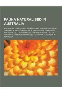 Fauna Naturalised in Australia: Australian Feral Camel, Brumby, Cane Toads in Australia, Cougars in Western Australia, Dingo, Feral Donkeys in Austral