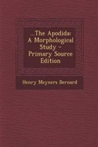 ...the Apodida: A Morphological Study