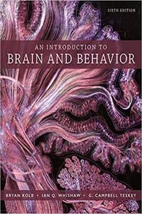 Introduction to Brain and Behavior 6e & Launchpad for an Introduction to Brain and Behavior (1-Term Access)