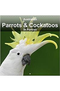 Australian Parrots & Cockatoos in Portrait 2018