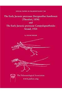 Early Jurassic Pterosaur Dorygnathus Banthensis (Theodori, 1830) and the Early Jurassic Pterosaur Campylognathoides Strand, 1928