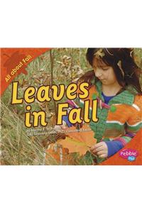 Leaves in Fall