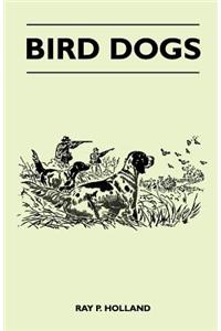 Bird Dogs