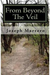 From Beyond The Veil