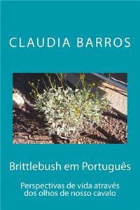 Brittlebush em Português