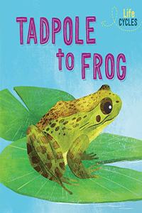 Life Cycles: From Tadpole to Frog