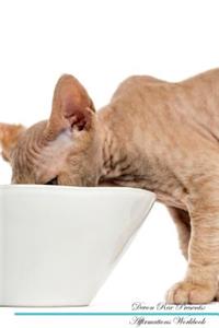 Devon Rex Affirmations Workbook Devon Rex Presents