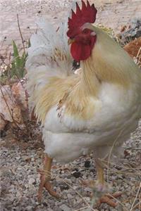 The White Chicken on the Farm Journal: 150 page lined notebook/diary