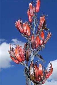 New Zealand Native Flax Plant Journal