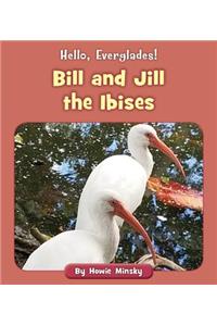 Bill and Jill the Ibises